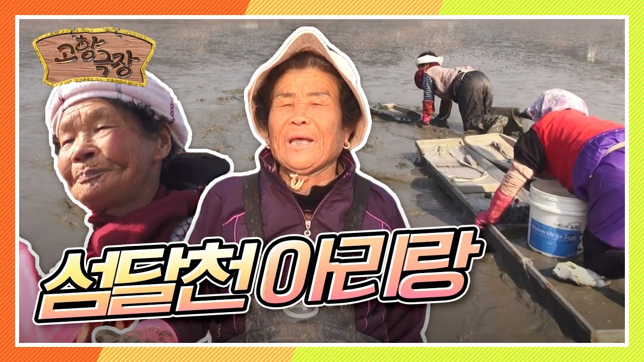 [다시보는 고향극장] 흥 많고 정 많고 눈물 많은 섬마을 할머니들의 '섬달천 아리랑' 131207 방송