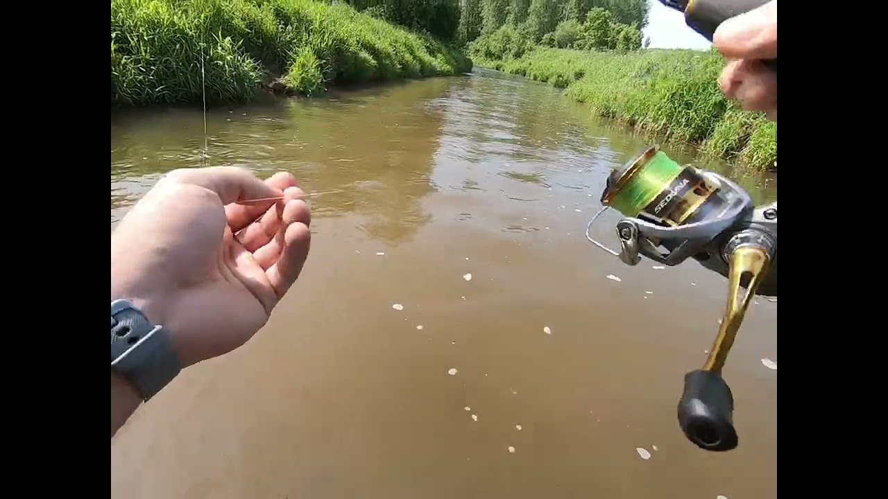 Foreļu cope Kurzemes upītē.
