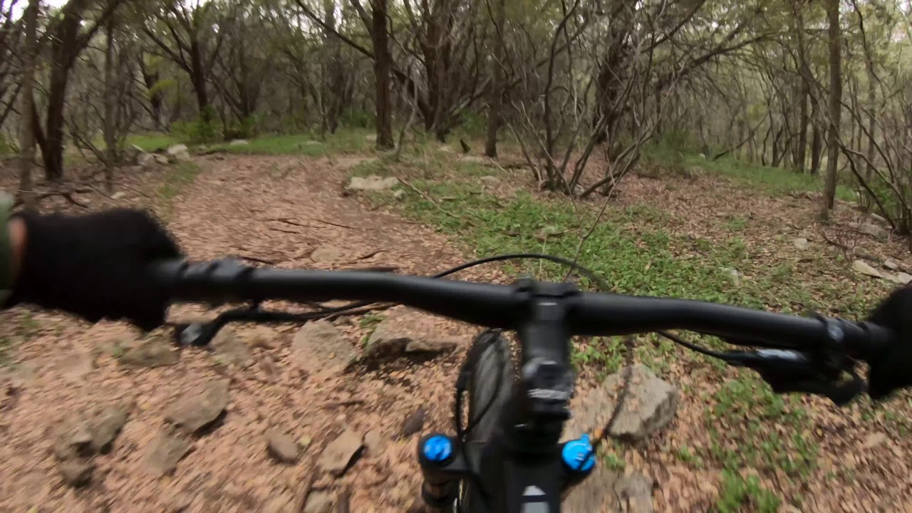 Canyon Neuron AL 7.0 First Ride