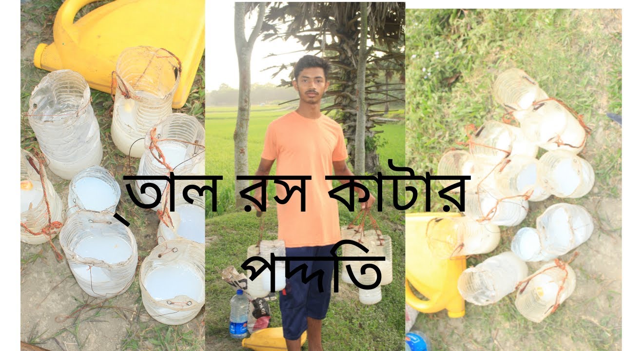তাল রস কাটার নিওম।  tal ros dakun ki sundor