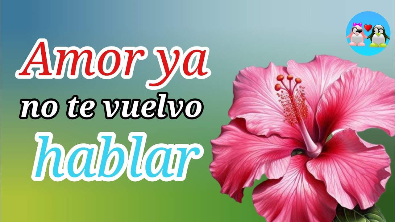 Amor ya no te vuelvo HABLAR