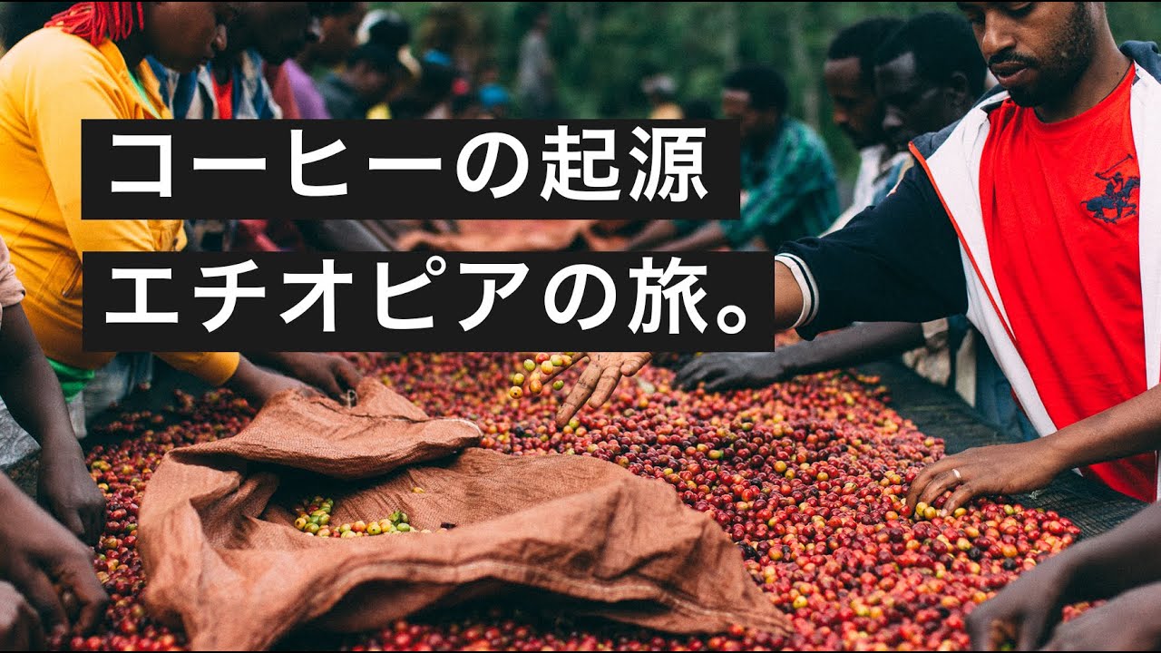 コーヒーの起源エチオピアの旅 農村への道のり編