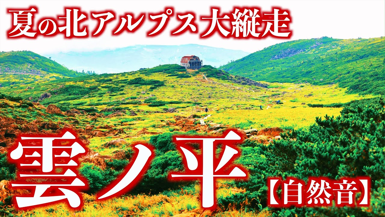 [Mountain Trekking] Kumonodaira of the Northern Alps in Japan.(Nature Sound)