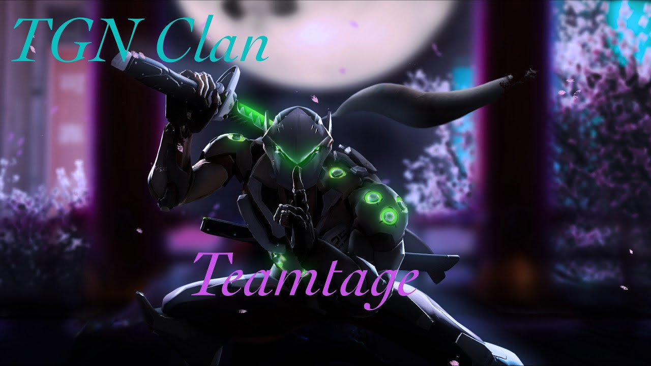 Overwatch Teamtage|TGN Clan