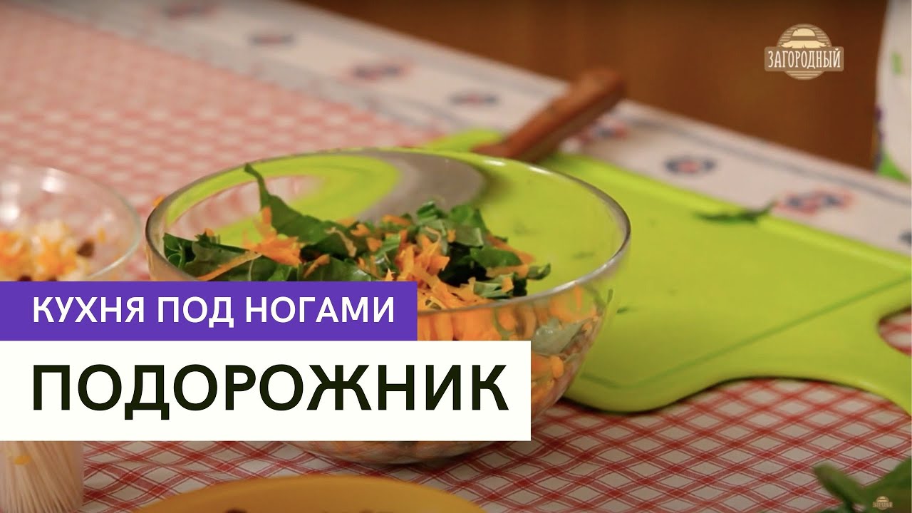Подорожник \ Кухня под ногами