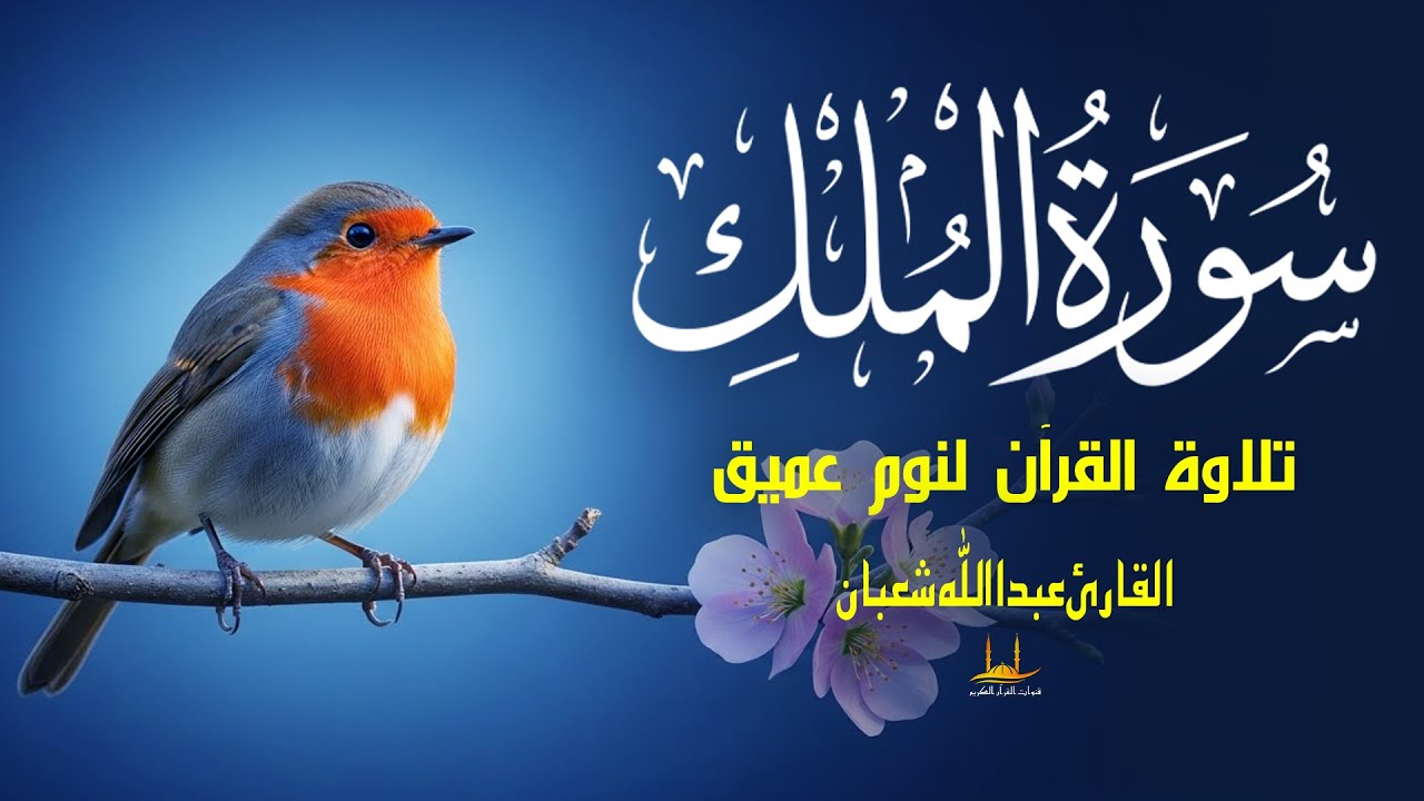 سورة الملك - تلاوة تريح القلب و تريح النفس -  القارئ منصور غزنوي