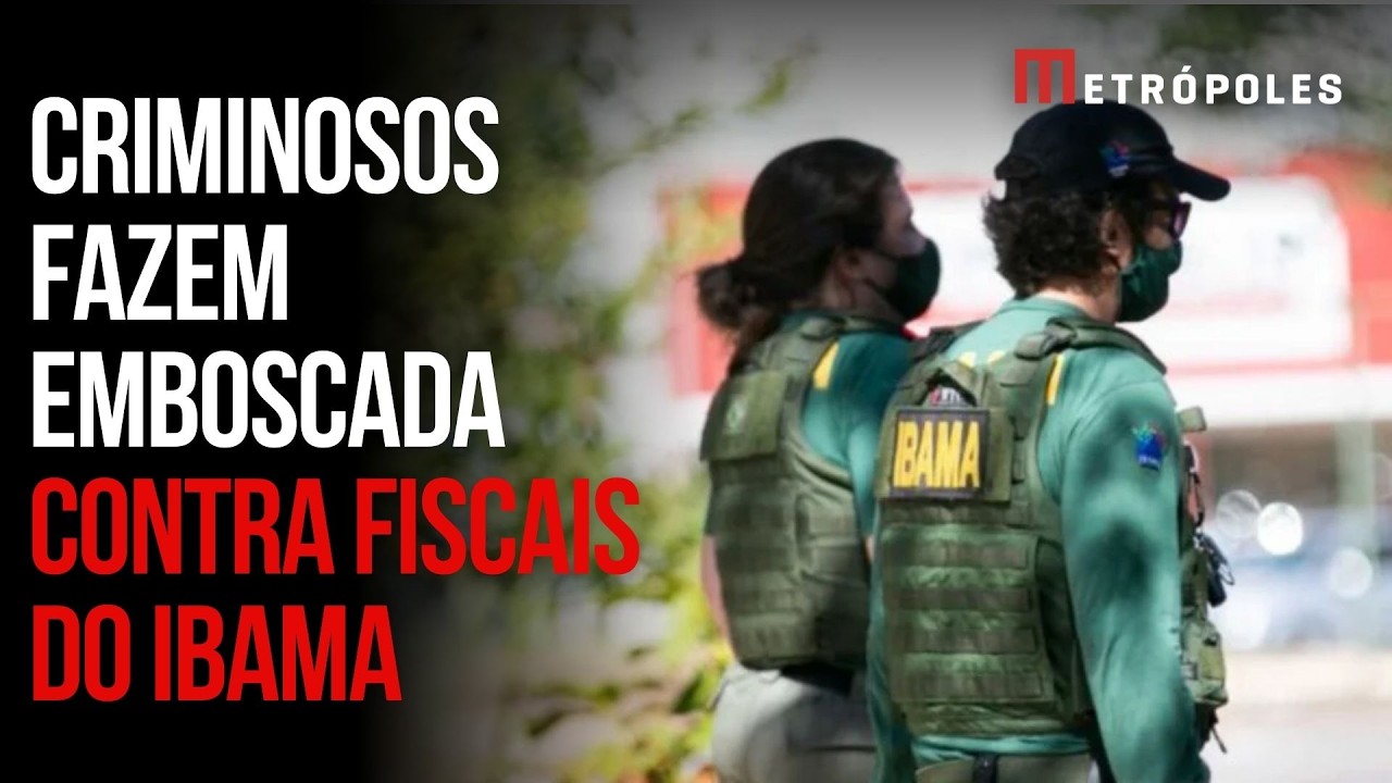 Guerra pela madeira: criminosos fazem emboscada contra fiscais do Ibama