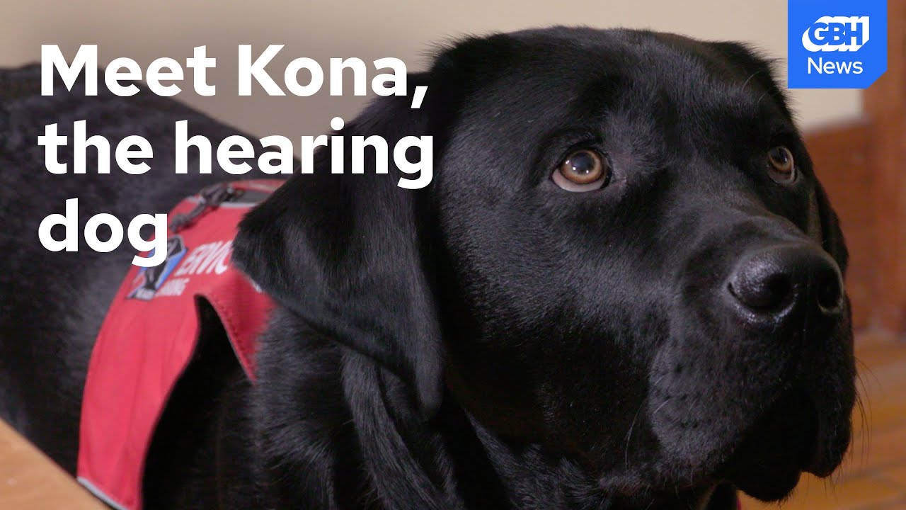 This service dog changed a woman's life after losing her hearing