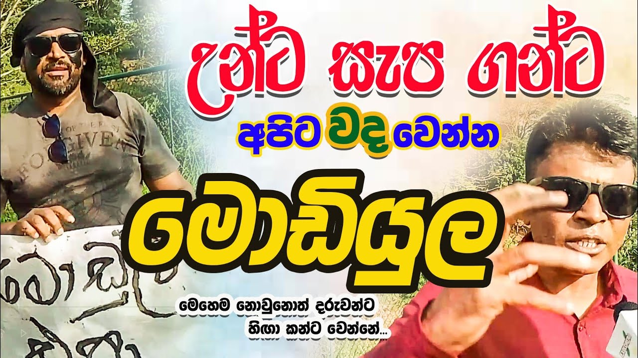 උන්ට සැප ගන්ට අපිට වද වෙන්න මොඩියුල @ExploreraඅපිJanuary 16,2026