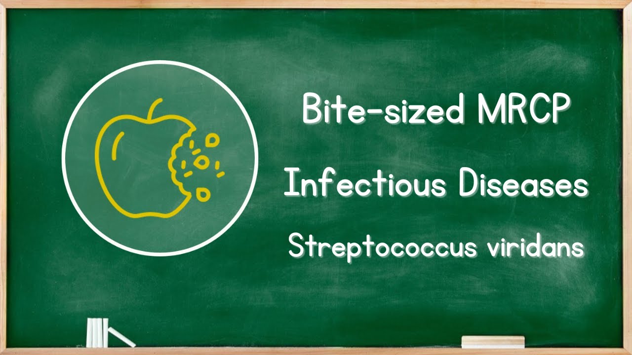 Infectious Diseases - Streptococcus Viridans - MRCP Exam Revision