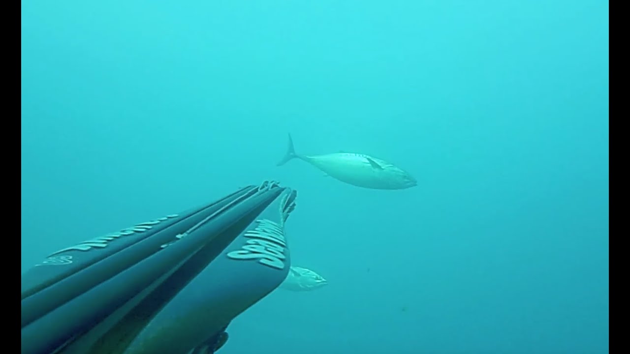 Pescasub: A pesca in franata! SeaHawk Extreme 90 & Snake C