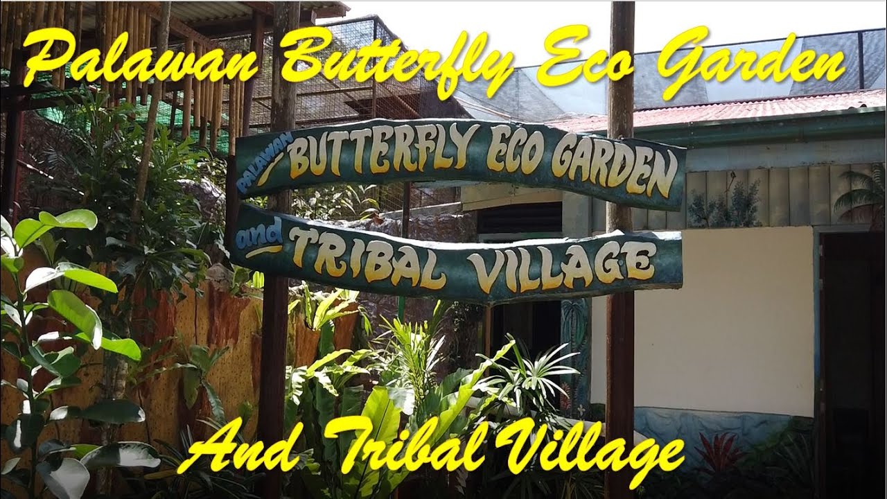 Palawan Butterfly Eco Garden and Tribal Village 🇵🇭