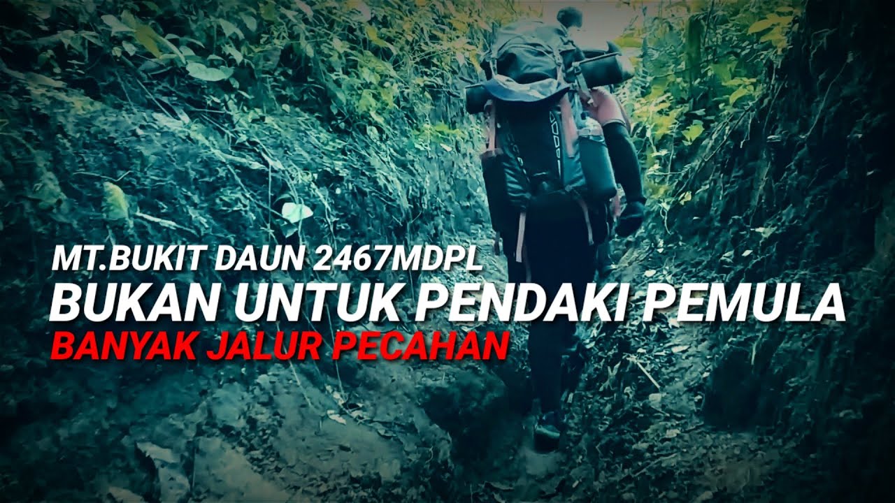 JEJAK PENDAKIAN BUKIT DAUN REJANG LEBONG (bengkulu-curup) #PART1
