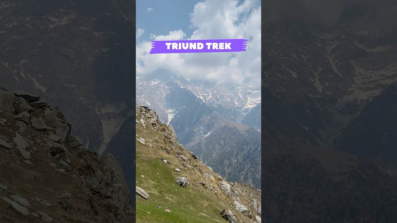 Triund Trek and Dharamshala | Travel Guide 😍 #triundtrek #dharamshala