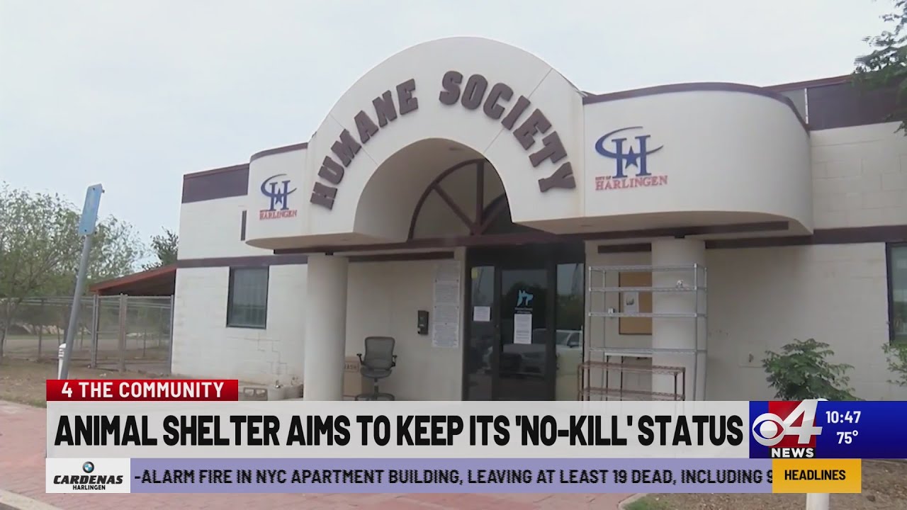 Animal shelter aims to keep its 'no-kill' status