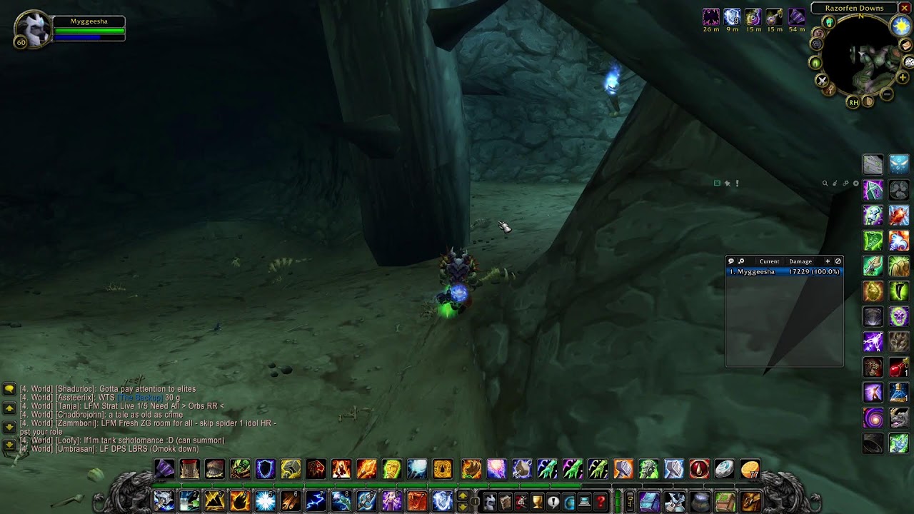 Farming Trinket from RFD turtle wow