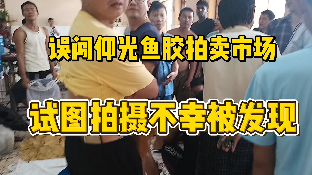 误闯仰光鱼胶拍卖市场，试图拍摄不幸被发现！