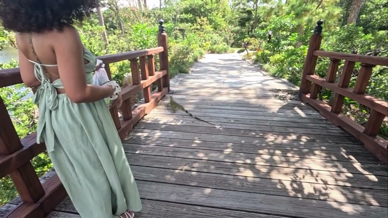 Morikami Museum & Japanese Garden