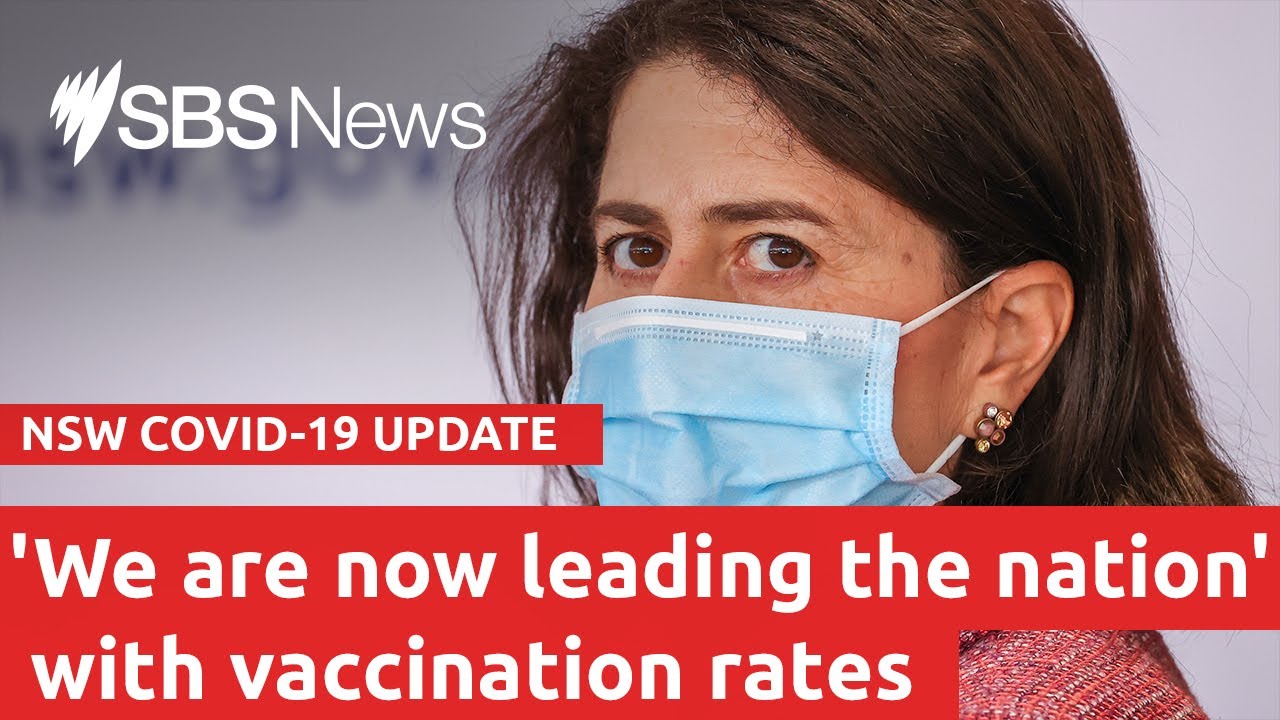 Watch live: NSW COVID-19 update | SBS News