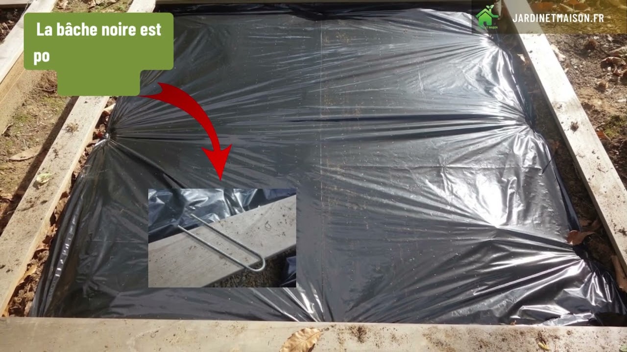Comment planter des fraisiers dans un carr&eacute; potager sur b&acirc;che noire