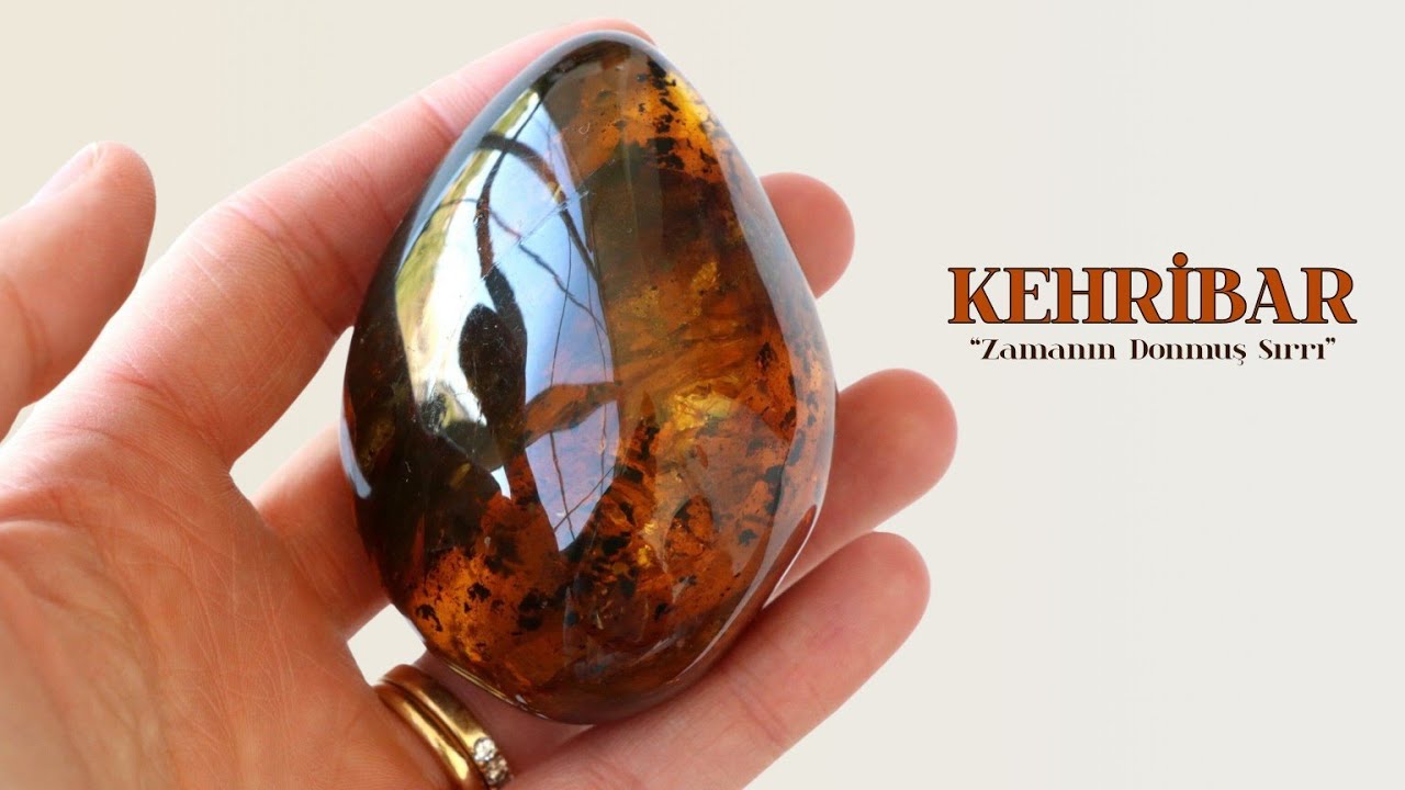 Kehribar “Zamanın Donmuş Sırrı”