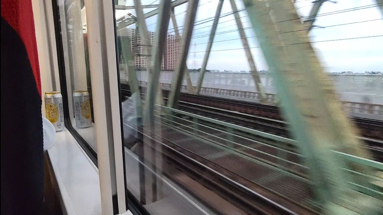 【N'EX】高速で江戸川橋梁・市川駅を通過