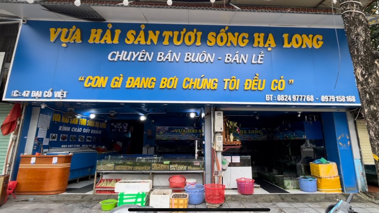 VỰA HẢI SẢN TƯƠI SỐNG HẠ LONG. Add: 47 Đại Cồ Việt I Hà nội I Vietnam I Thang Vu
