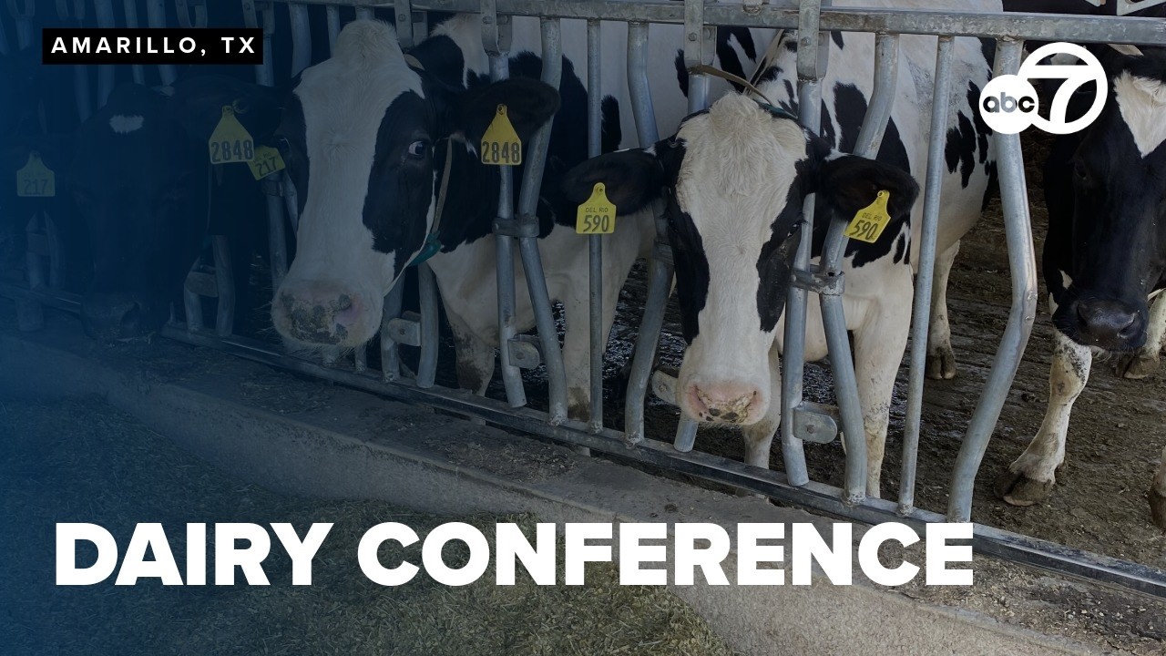 Three-day Amarillo dairy conference highlights labor crunch, tech and milk price outlook