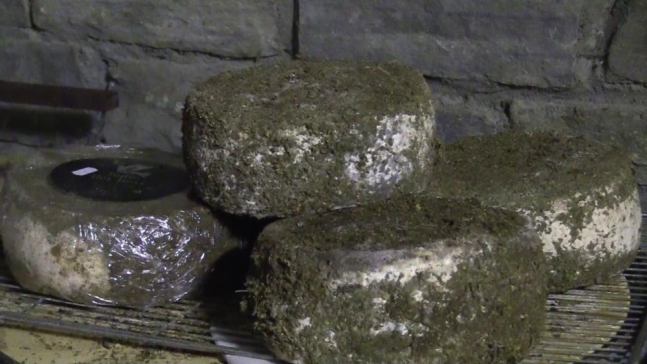 Val d'Aosta, il formaggio di pecora più caro d'Italia: è barricato nei fiori di canapa