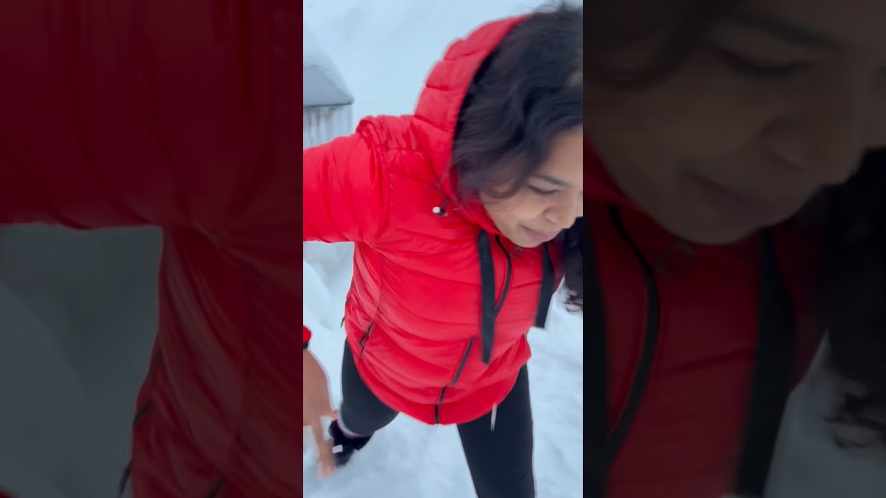 Ice to meet you😍🥶🧊❄️#finlandmallu #malayalam #winterwonderland #kerala #dubai