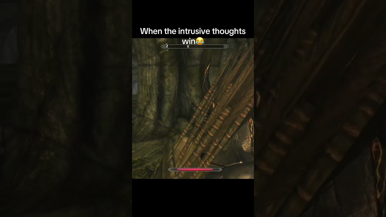 Sometimes I get distracted 🤷 #skyrim #intrusivethoughts #distracted  #gaming #elderscrolls