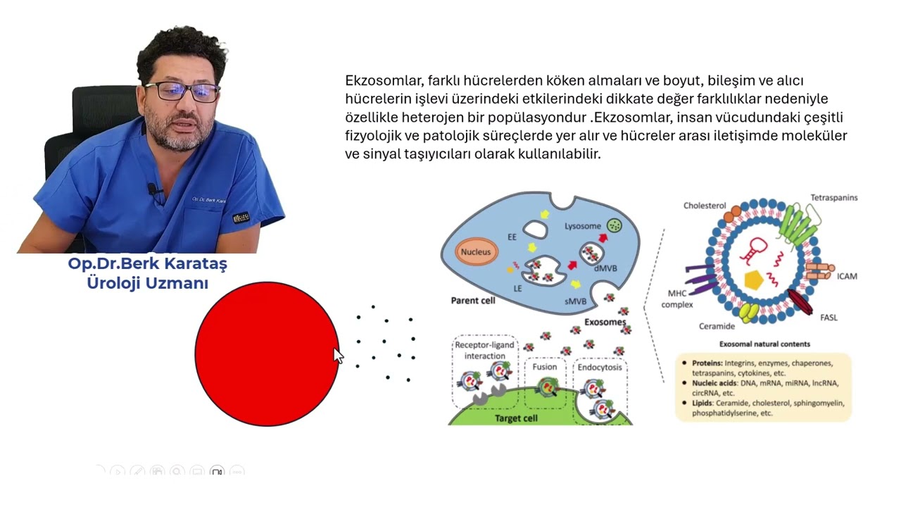 Exosome Therapy for Erectile Dysfunction