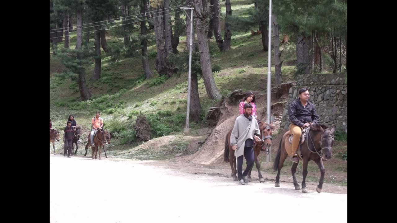 Easy Horse Riding Video By Tourists At Pahalgam, Kashmir India