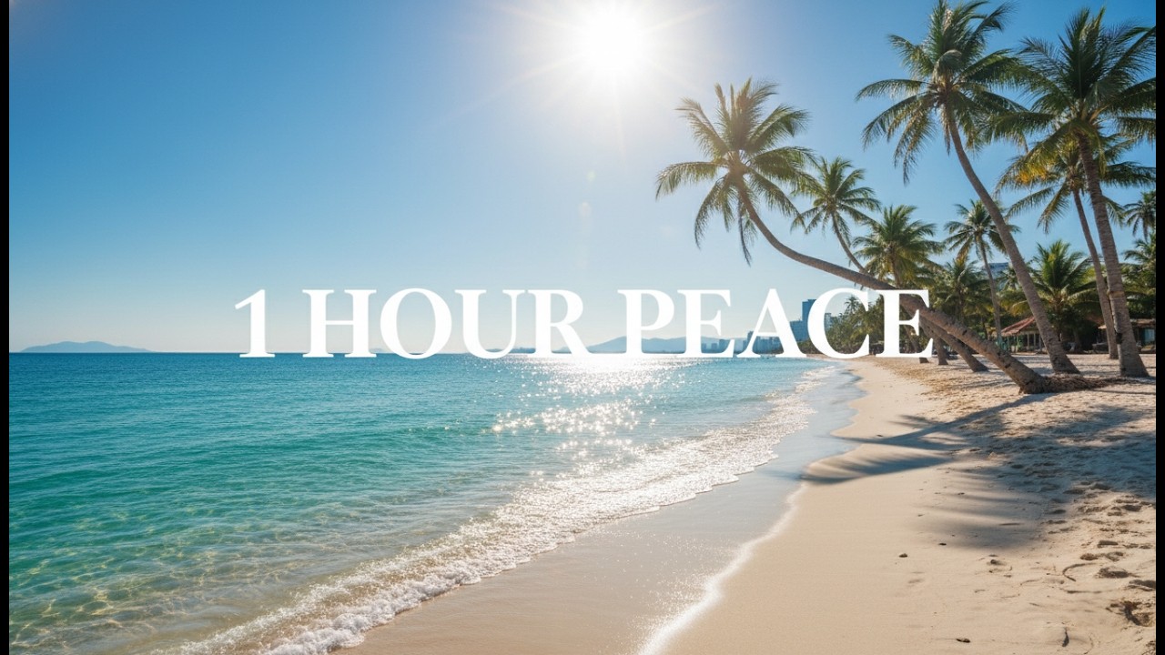 1 HOUR of Pure Peace 🌿  Walking in Sunny Vietnam  Ambient Music for Sleep & Study