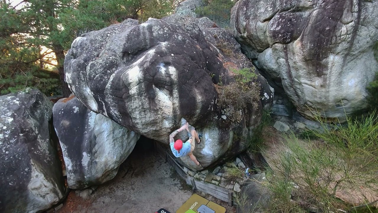 Fontainebleau (Cuvier Rempart) - Fourmis Rouges 7C