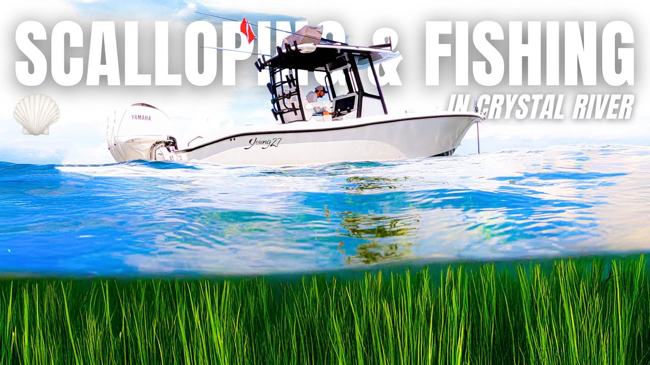 Fishing, Scalloping & Exploring Florida’s Hidden Paradise... Crystal River!