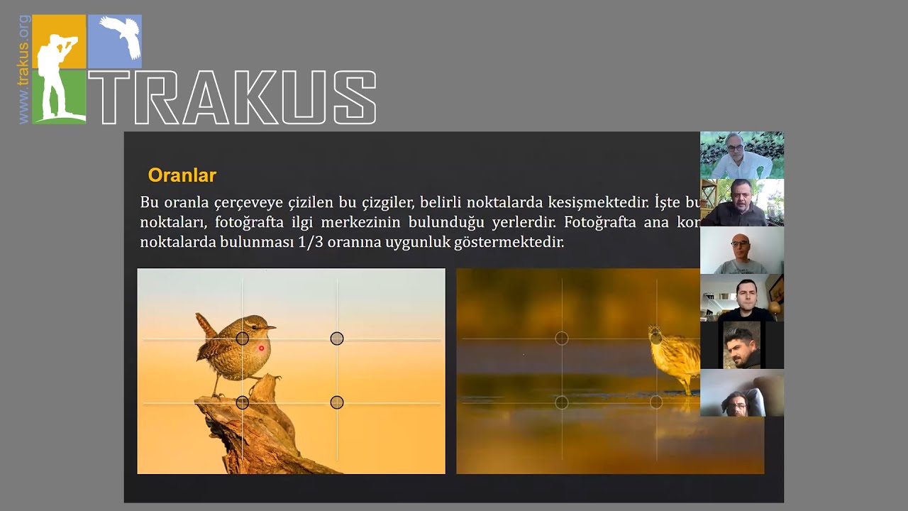 Kuş Fotoğrafçılığında Kompozisyon - Serkan Mutan - 26.05.2020