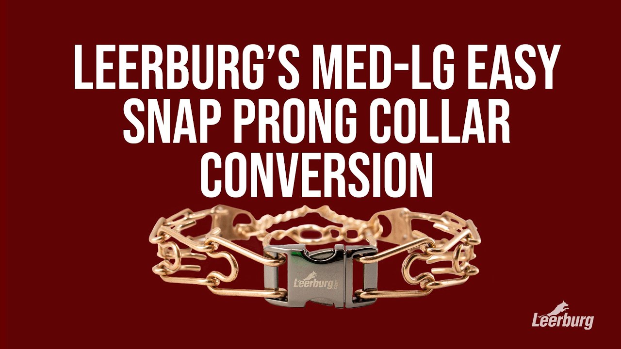 Leerburg's Med-Lg Easy Snap Prong Collar Conversion