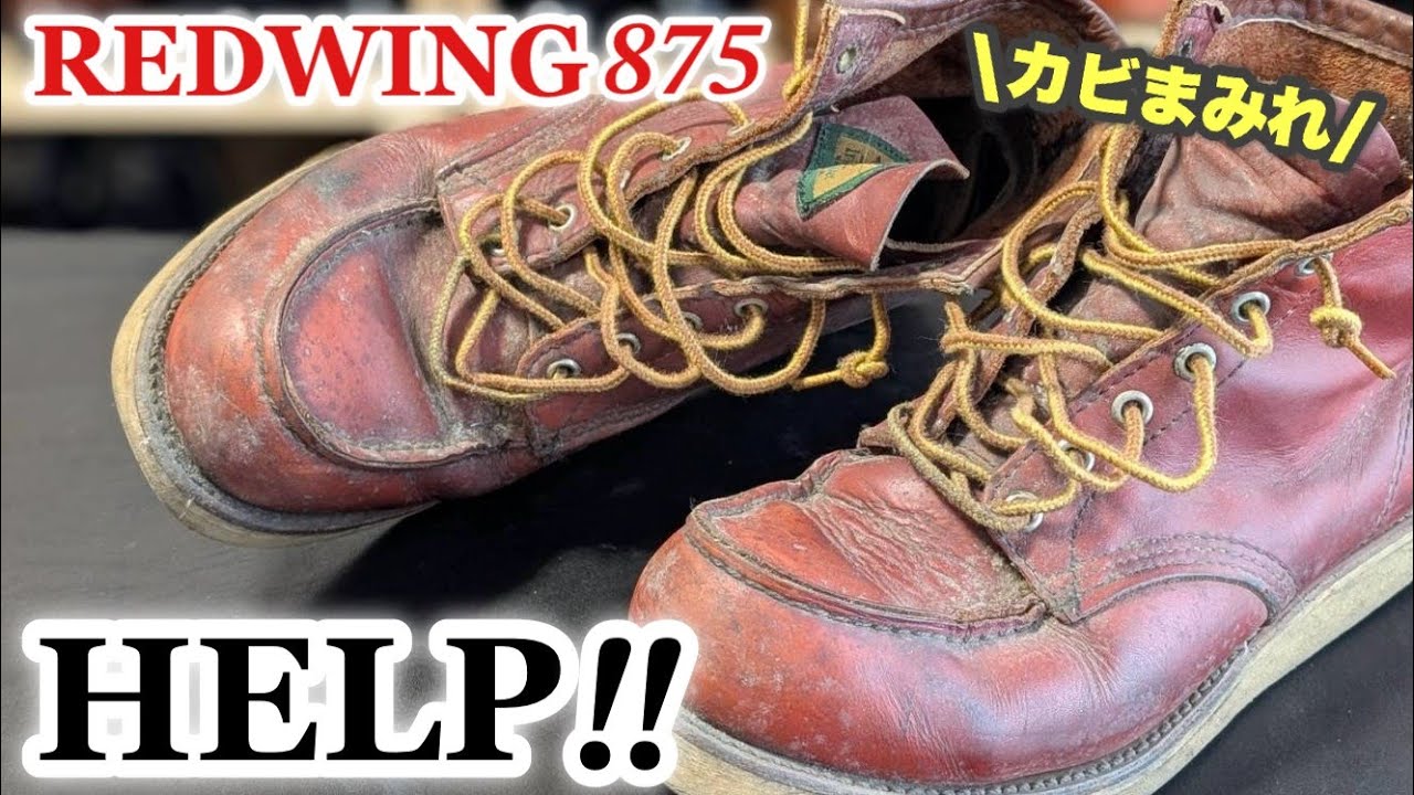 【激変！】20年放置された瀕死のレッドウイングをカビ除去＆保革メンテで救済