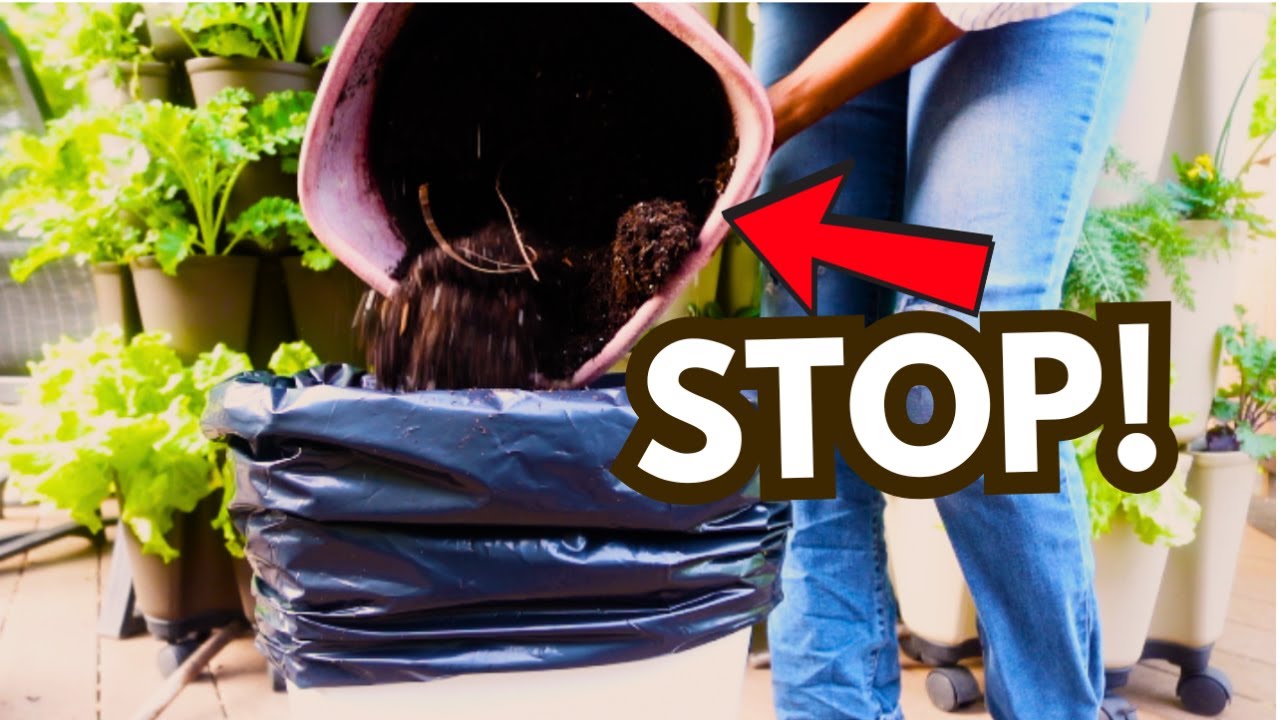 STOP Throwing Out Old Potting Soil (It's not TRASH its a TRAP!)