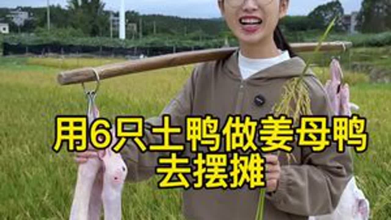 秋风起，让老爸帮忙做了两大锅姜母鸭去摆摊。 今天的摊位还是格外的热闹，暖呼呼的姜母鸭一会儿功夫就全部盘光光了#我的乡村生活 #新农人计划2025