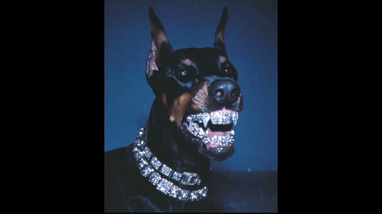 [FREE] Ateyaba & Nes Type Beat | Dog House
