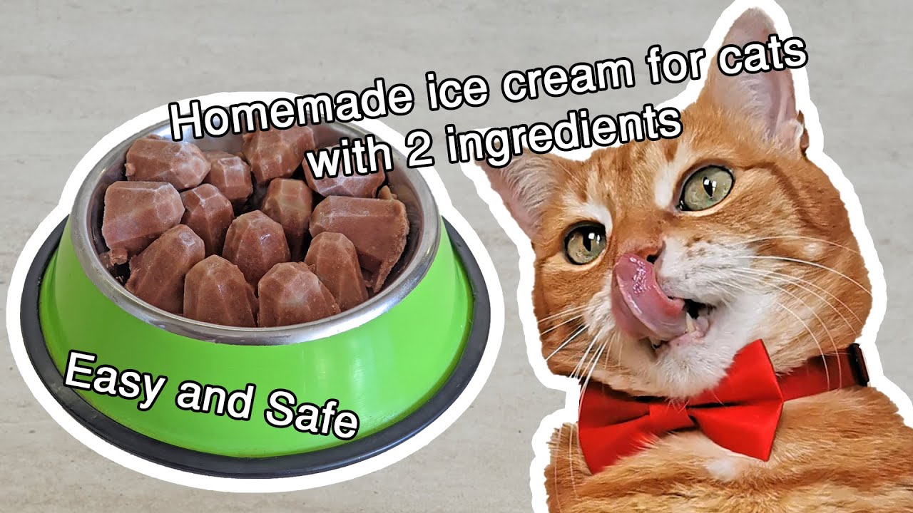 Easy and Safe: Homemade ice cream for cats with 2 ingredients