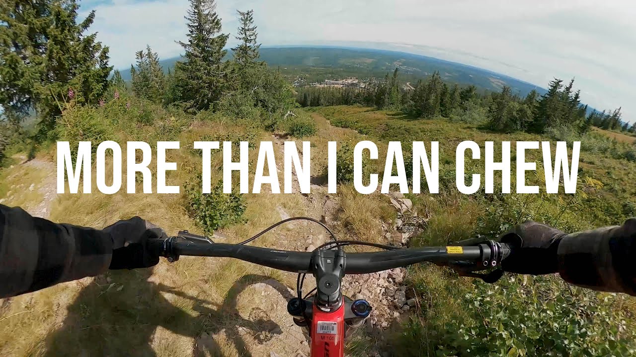Sälen bikepark | Hugin uncut