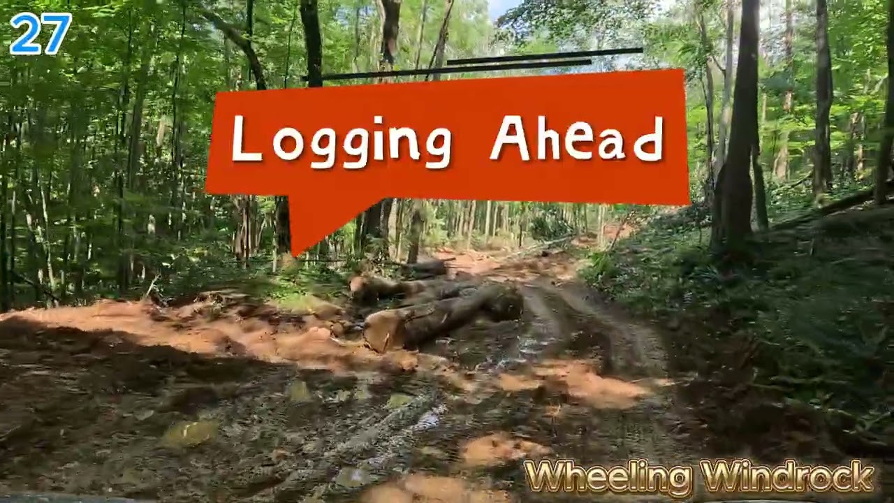 Windrock Park Trail 27 (Blue Trail)  1.7 miles long   8-16-25