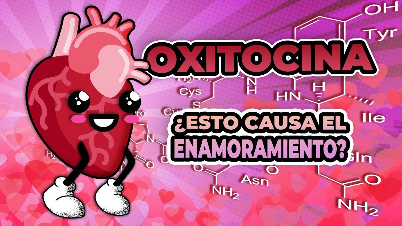 ¿Qué efectos tiene la “hormona del amor” en nuestro cuerpo? #amor #sanvalentin #14february