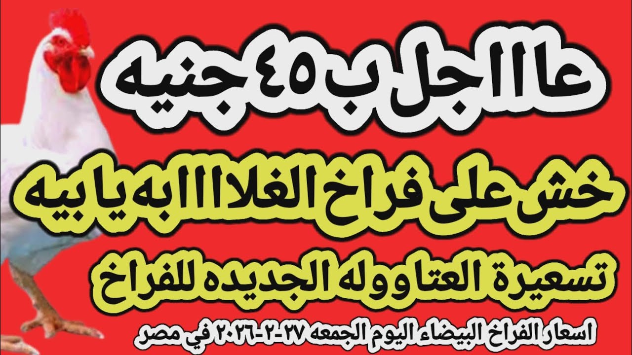 اسعار الفراخ البيضاء اليوم/ سعر الفراخ البيضاء اليوم الجمعه ٢٧-٢-٢٠٢٦ في مصر جمله وقطاعي