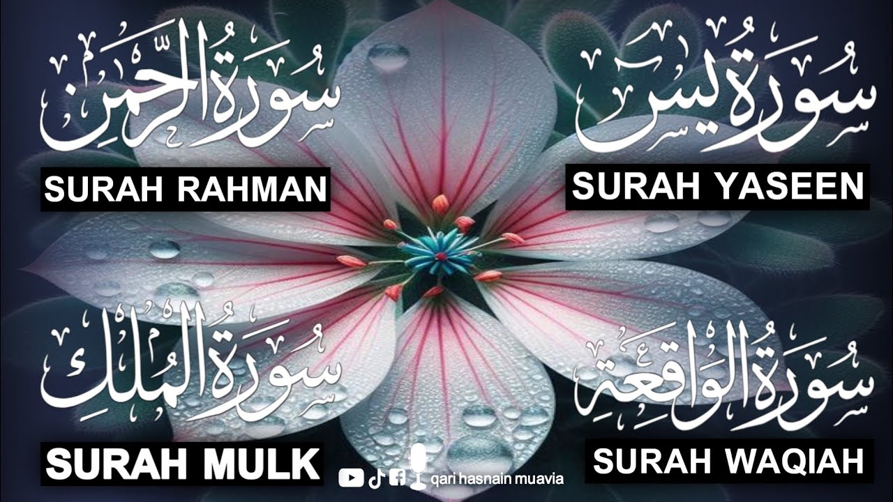 Surah Yasin ❤️ Surah Rahman , Surah Waqiah , Surah Mulk | Ep 330,یس