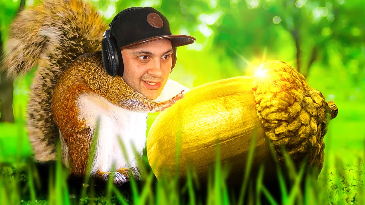 Симулятор Белки 2
