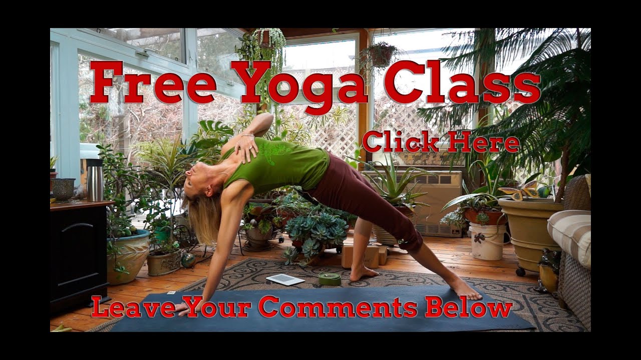 Namaste Yoga 168 Elephant Lakshmi